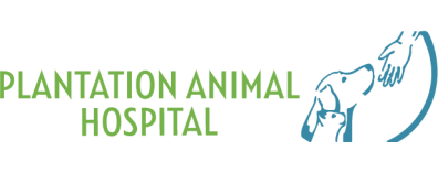 Plantation Animal Hospital-HeaderLogo